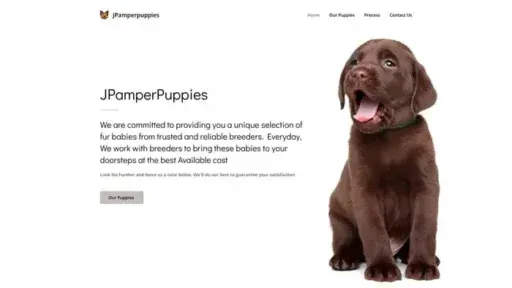 Screenshot of