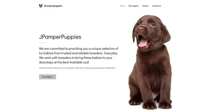 Screenshot of