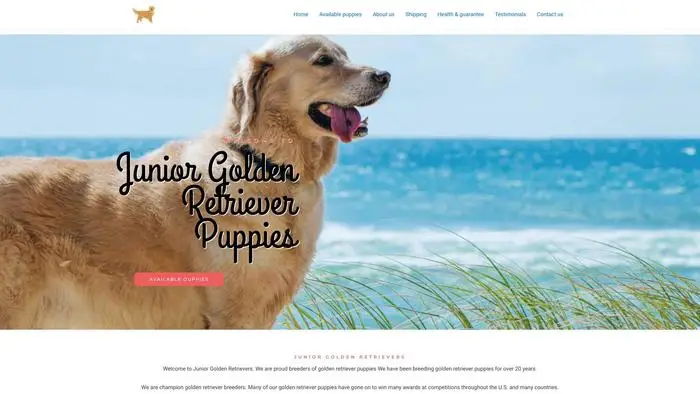 Screenshot of