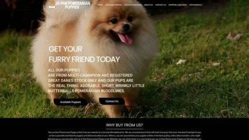 Screenshot of
