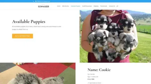 Screenshot of