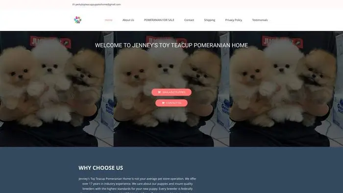 Screenshot of