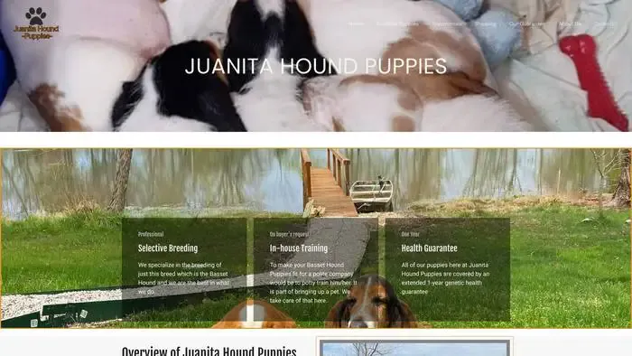 Screenshot of