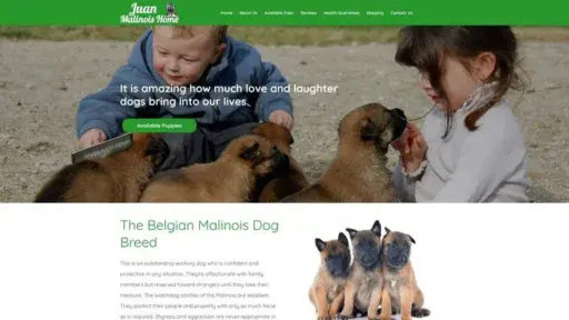 Screenshot of