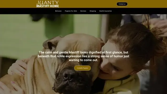 Screenshot of