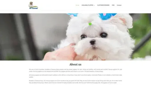 Screenshot of