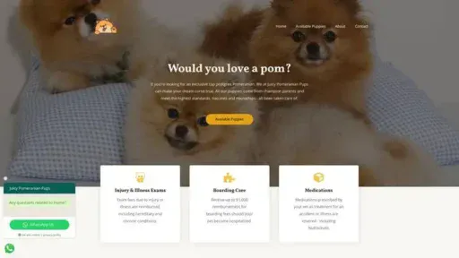 Screenshot of
