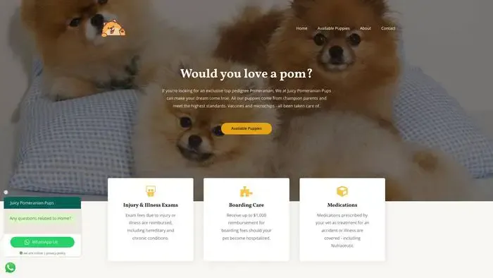 Screenshot of