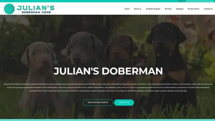 Screenshot of