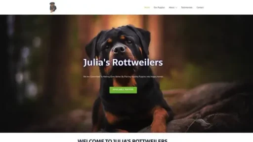 Screenshot of