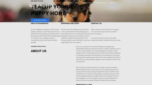 Screenshot of
