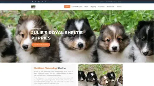 Screenshot of