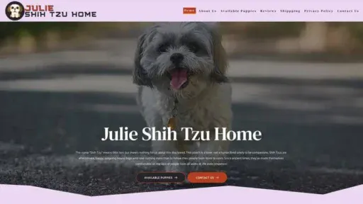 Screenshot of