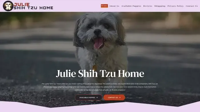 Screenshot of