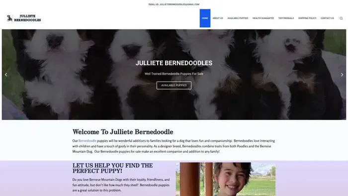 Screenshot of