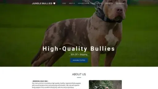Screenshot of