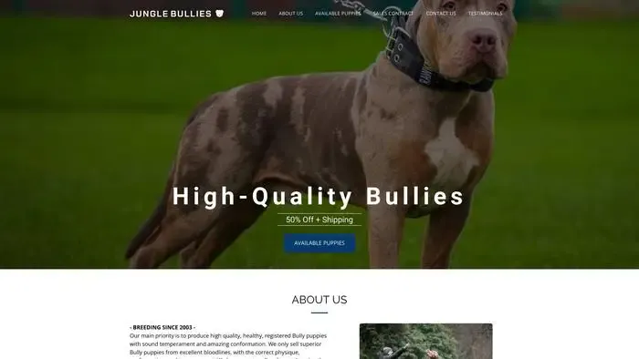 Screenshot of