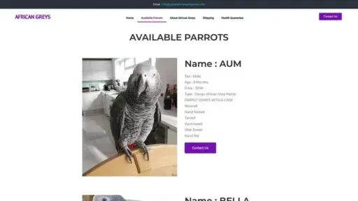 Screenshot of