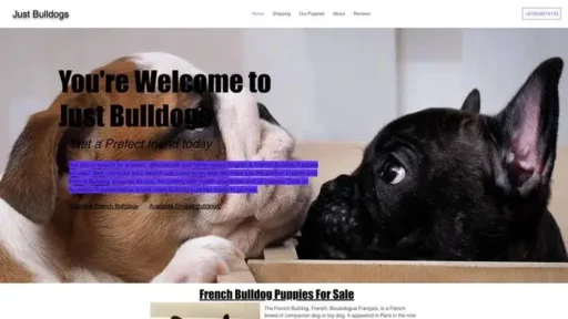 Screenshot of