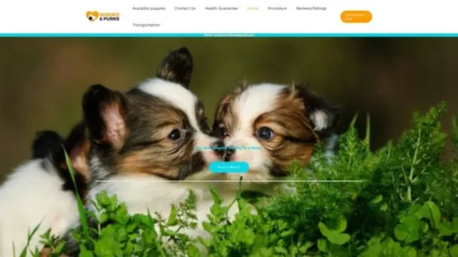 Screenshot of||