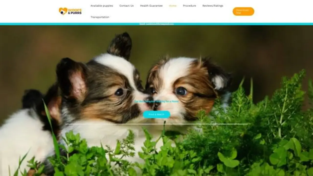 Screenshot of||