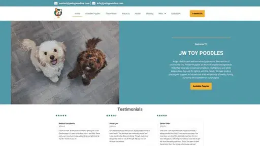 Screenshot of