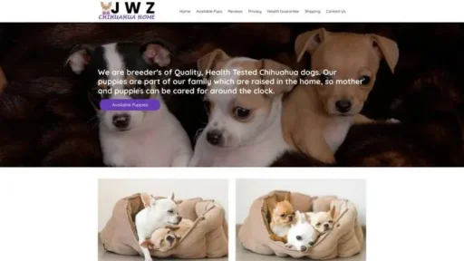 Screenshot of