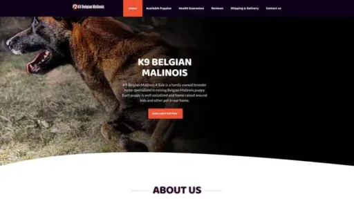 Screenshot of