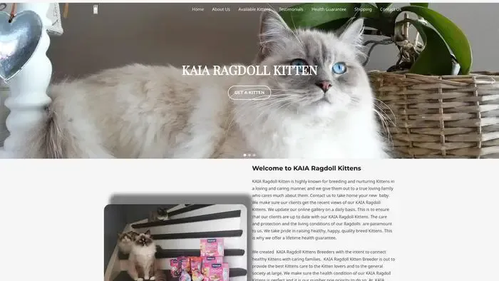 Screenshot of