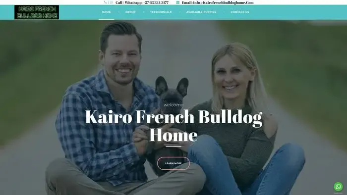Screenshot of