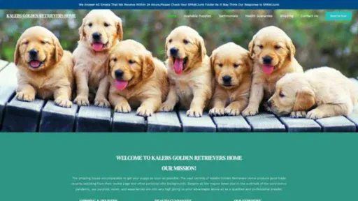 Screenshot of||