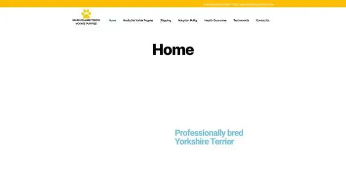Screenshot of