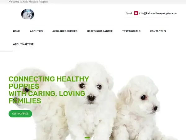 Screenshot of