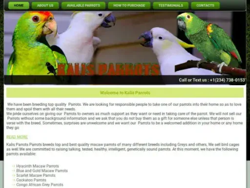 Screenshot of