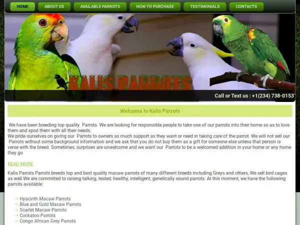 Screenshot of