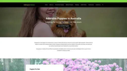 Screenshot of