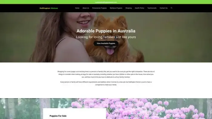 Screenshot of