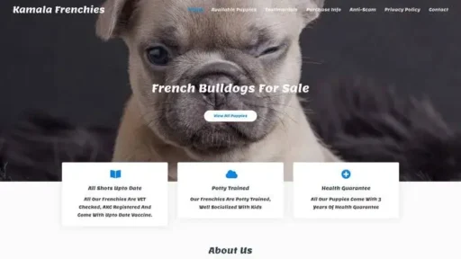 Screenshot of