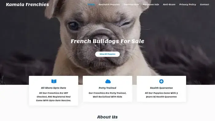 Screenshot of