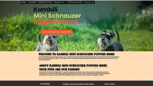 Screenshot of