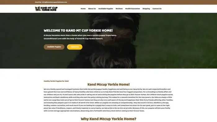 Screenshot of