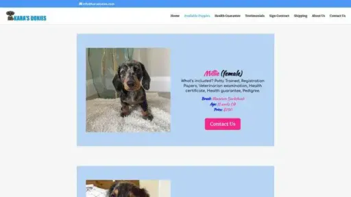 Screenshot of