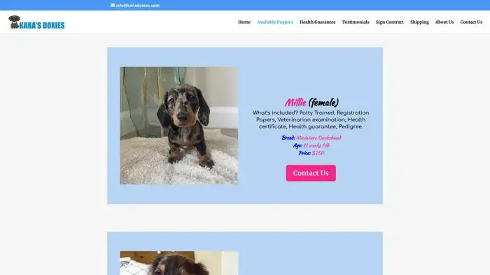 Screenshot of