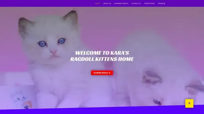 Screenshot of