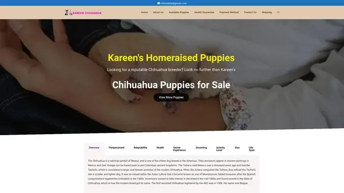 Screenshot of
