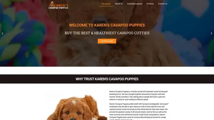 Screenshot of