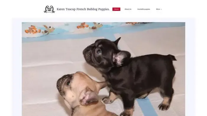 Screenshot of