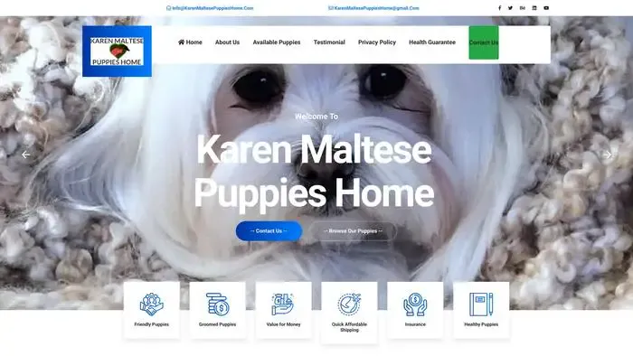Screenshot of
