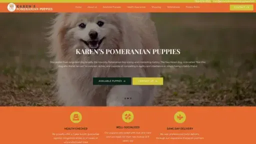 Screenshot of