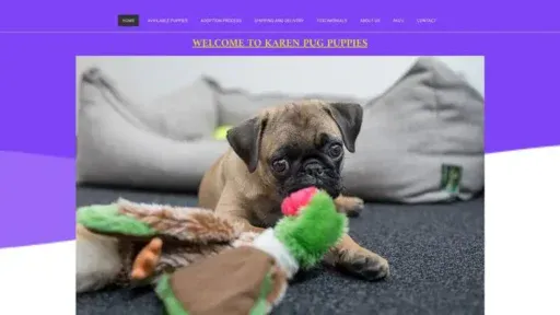 Screenshot of